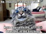 Dragons.jpg