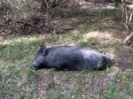 IMG_0932.JPG