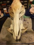 20160720_185430.jpg