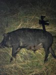 IMG_6293.JPEG