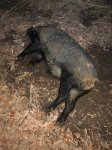 809F6020-6F6E-4860-B0E7-693B1F910E1C.jpeg