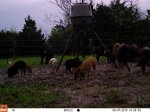04070359.JPG
