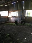 IMG_1330.JPG