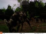 04170550.JPG 04170550.JPG