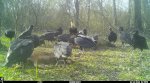 IMG_1888.JPG
