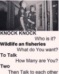 FB_IMG_1583674822735.jpg