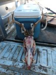 IMG_20201117_095832336.jpg