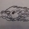 texas hog man
